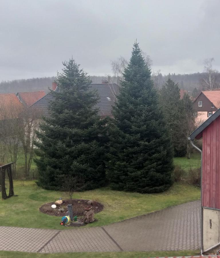 Apartamento Harzer Bauernhof Thale Habitación foto