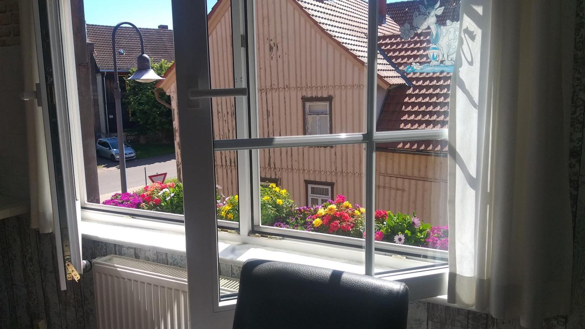 Apartamento Harzer Bauernhof Thale Habitación foto